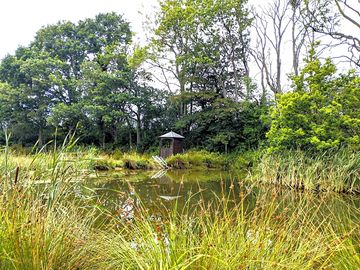 Wild swimming lake with gazebo