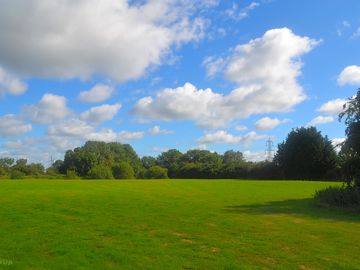 Camping field sheltered by trees