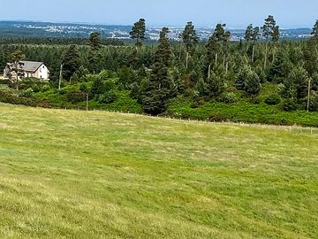 Grass field