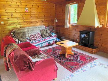 Living room area with electric 'logburner effect' fire