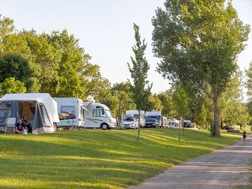 Tree-shaded pitches