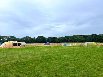 Lovely flat pitches