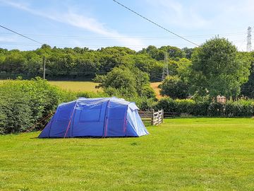 Grass tent pitch