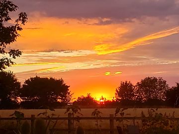 Sunset over the site