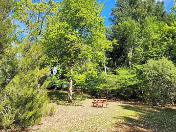 Camping area