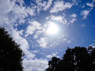 Blue sky and trees