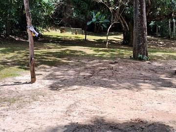 Pitches