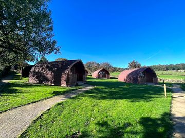The group of pods at saints meadow
