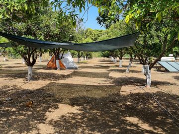Tent pitches