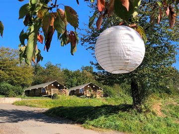 Safari tents