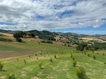 View over the hills