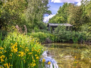 Hut by the pond