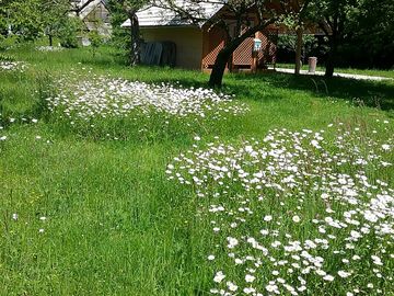 Camping in natural surroundings