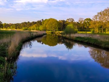 The regge river