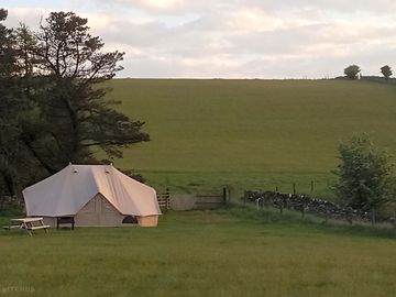 The sage and rose tent with its own barbecue and picnic table