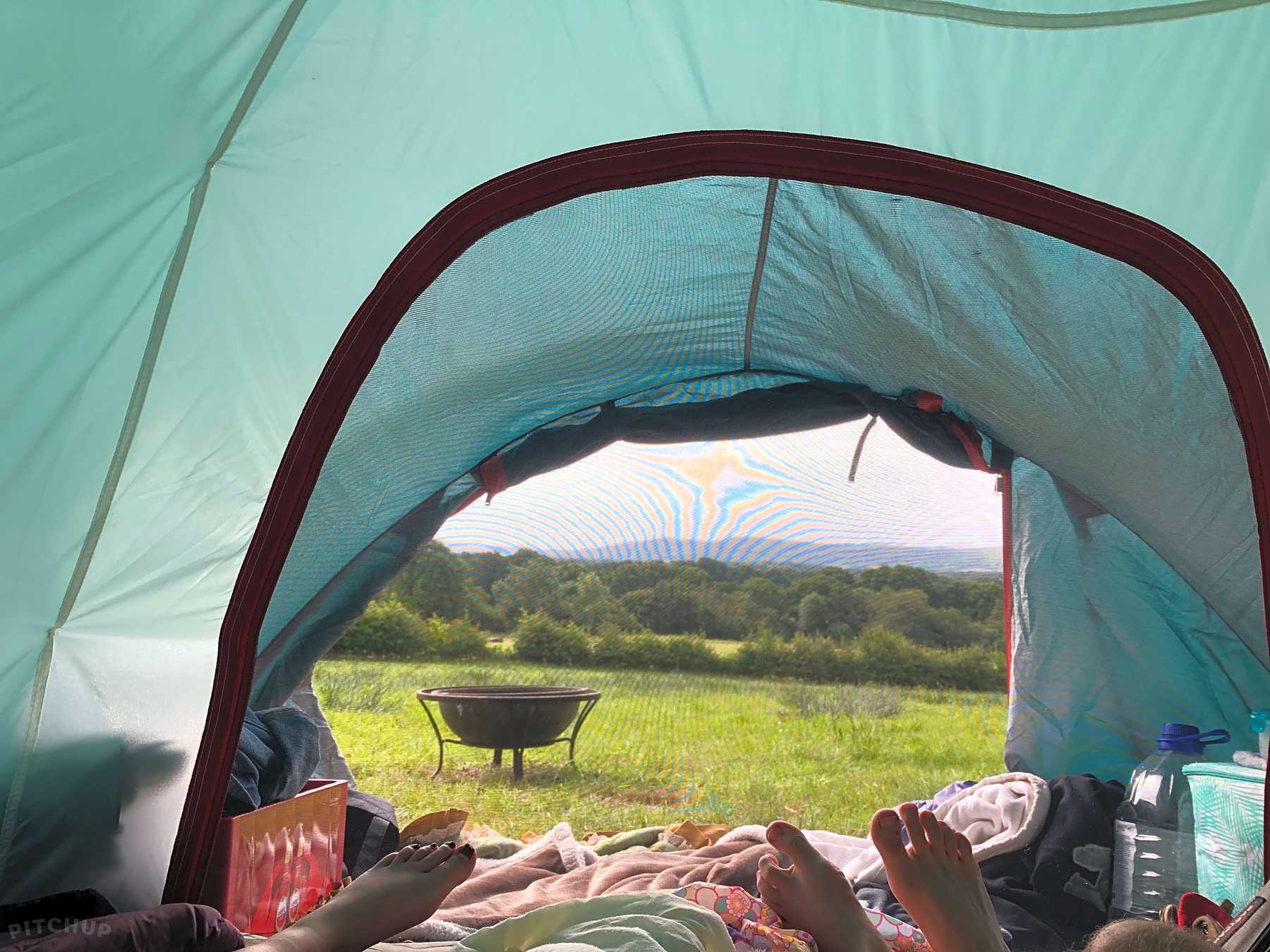 Clarefield Copse Wild Camping Petersfield Updated 2021 Prices Pitchup