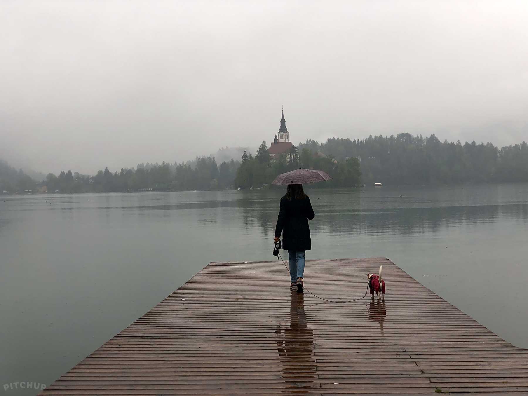 Camping Bled Bled Ceny Aktualni Pro Rok 2020 Pitchup