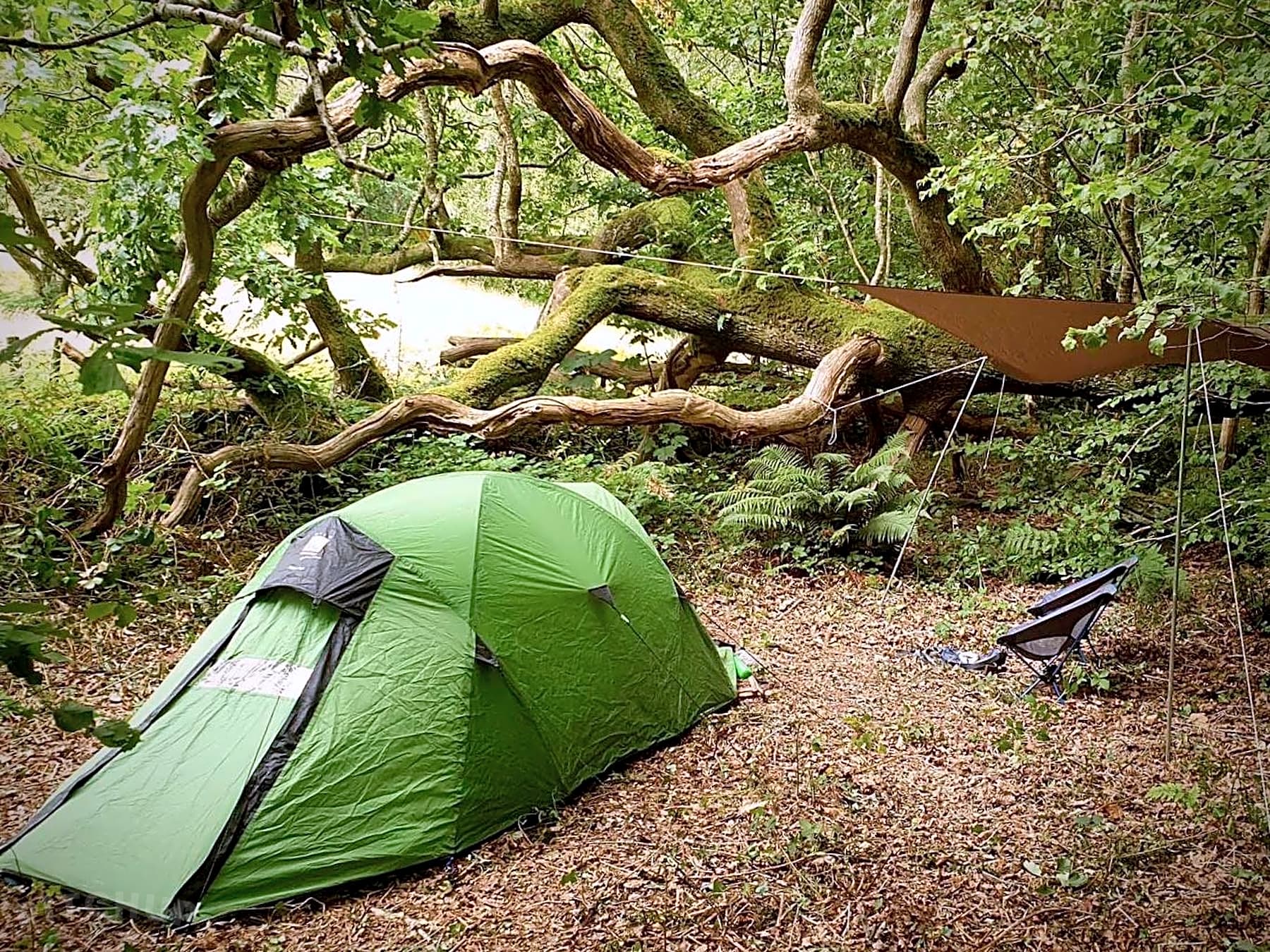 Cefn Coed Dolgellau Updated 2022 Prices Pitchup