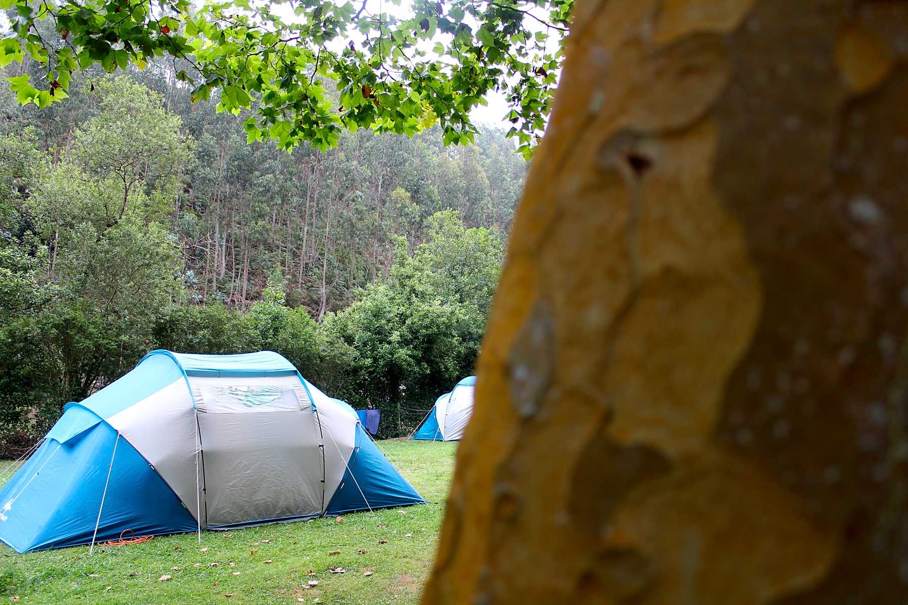 Camping Playa De La Franca La Franca Pitchup