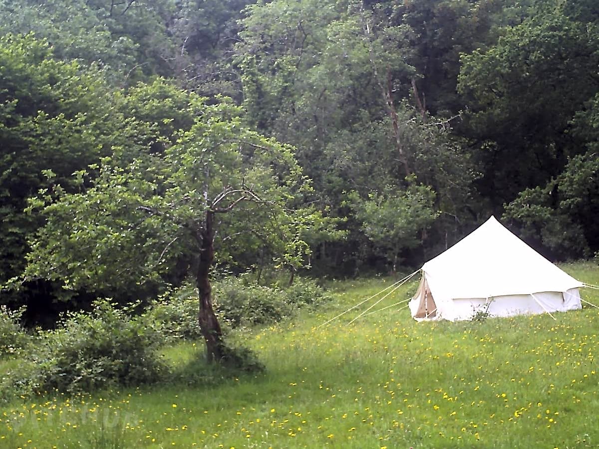 Aune Orchard Luxury Wild Camping South Brent Pitchup