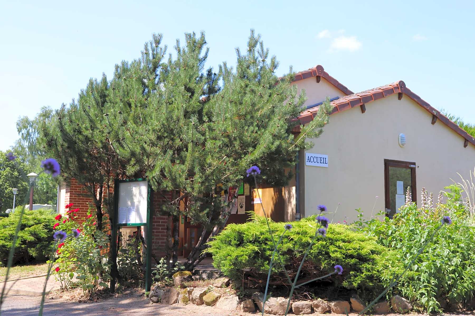 South Bel Air Hook Up Websites