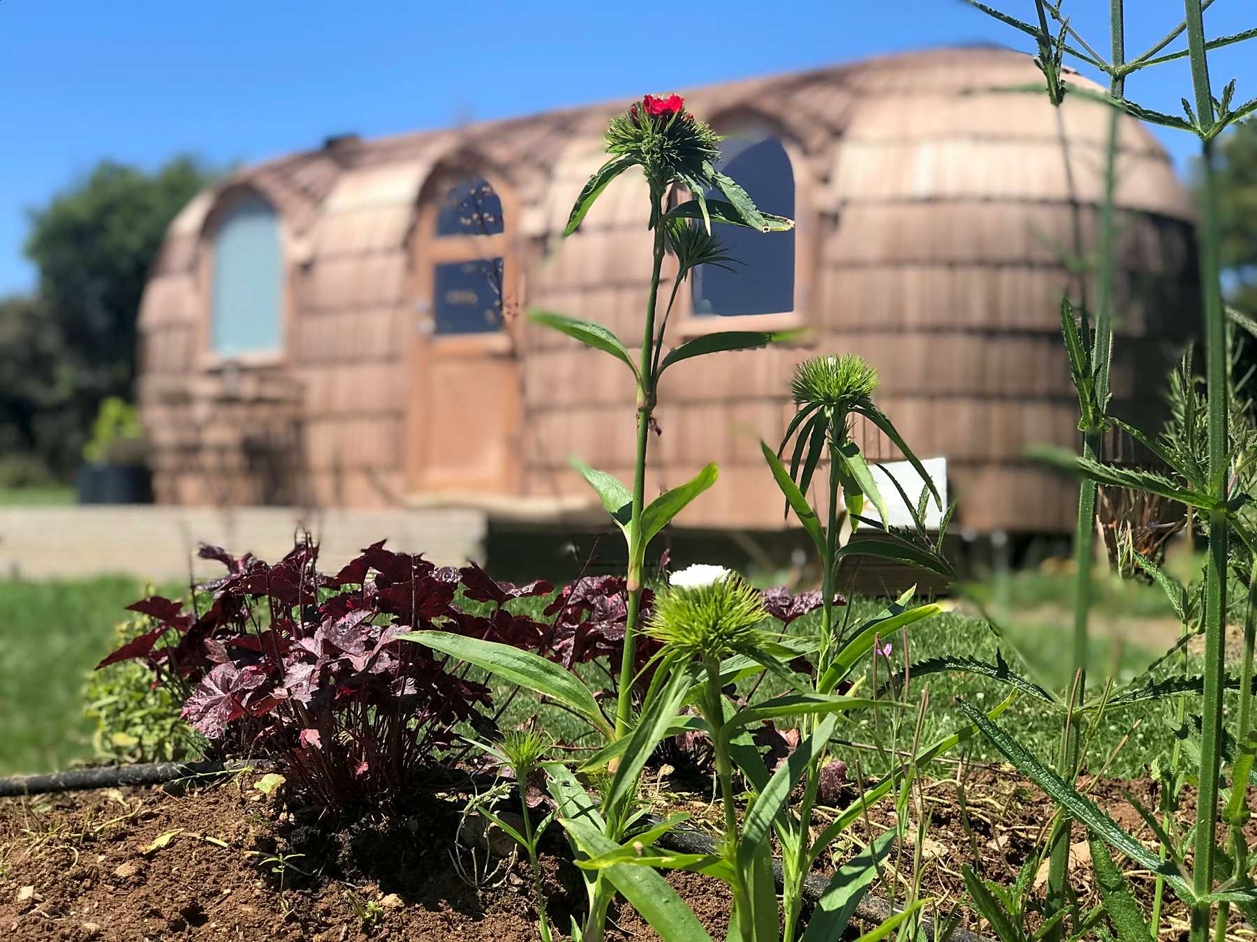 Lydcott Glamping Widegates Preise Fur 2020 Aktualisiert Pitchup