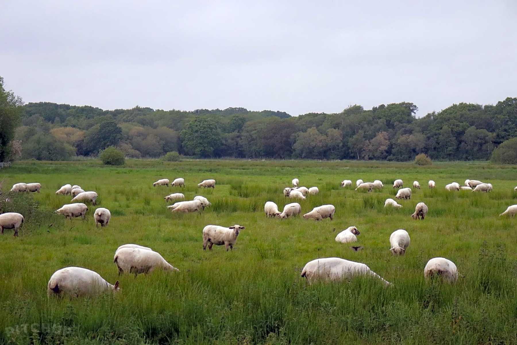 Whitemead Caravan Park Wool 21 年更新价目 Pitchup Whitemead Caravan Park Wool 21 年更新价目 Pitchup