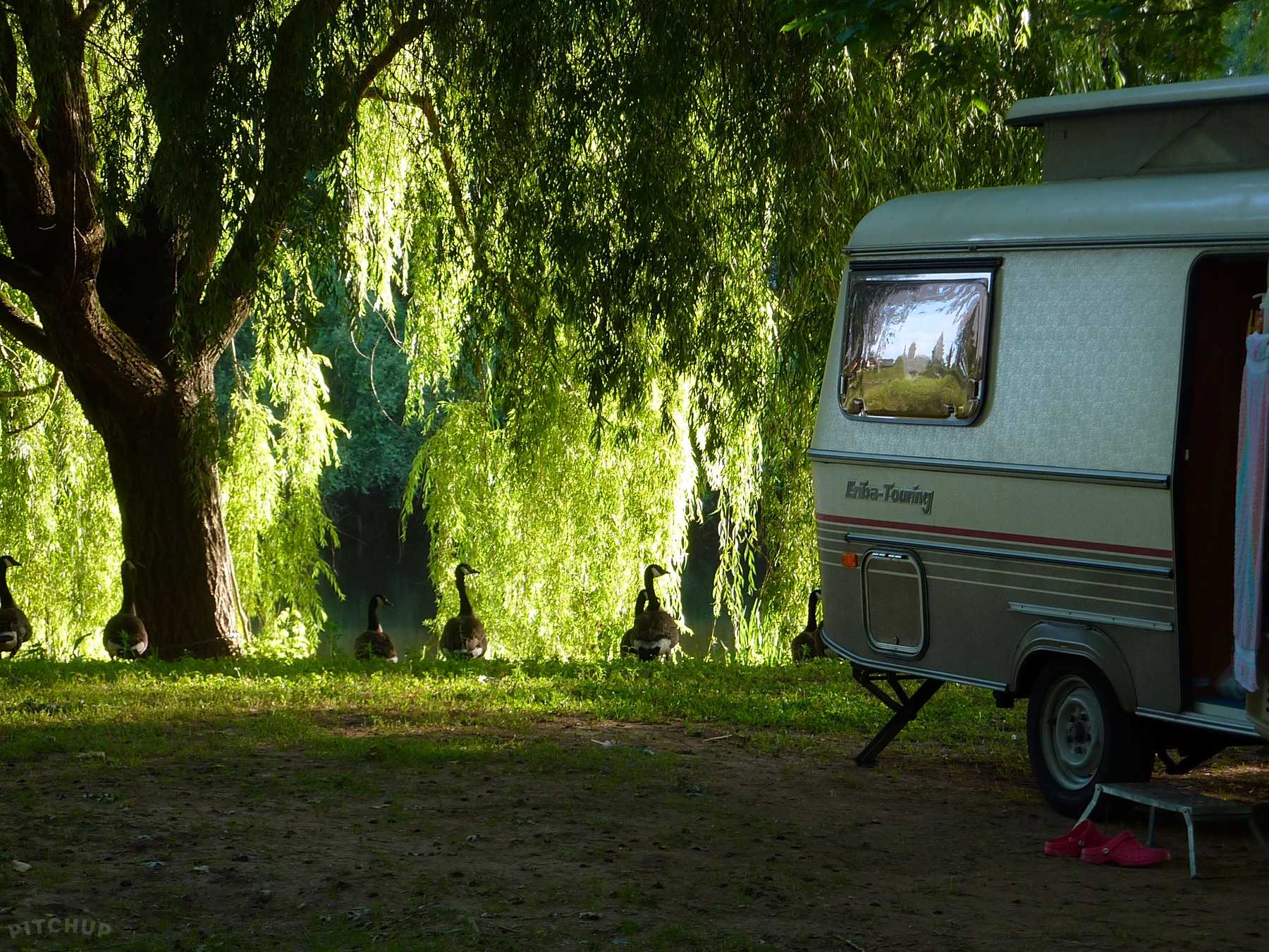 Camping La Pelouse Bergerac Tarifs 2020 Pitchup