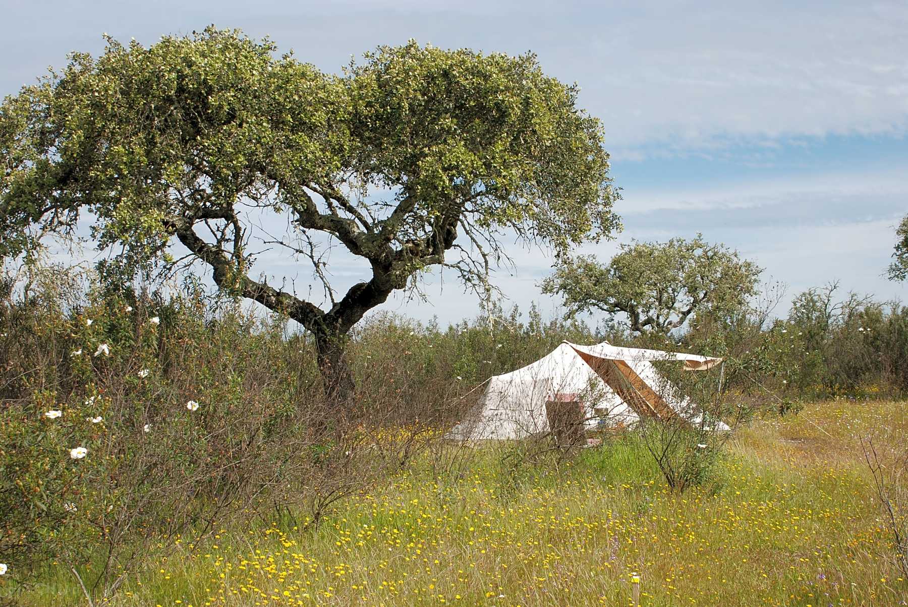 Bubulcus & Bolotas Camping, Vimieiro Geactualiseerde CAMPGROUND – Bubulcus & Bolotas Camping