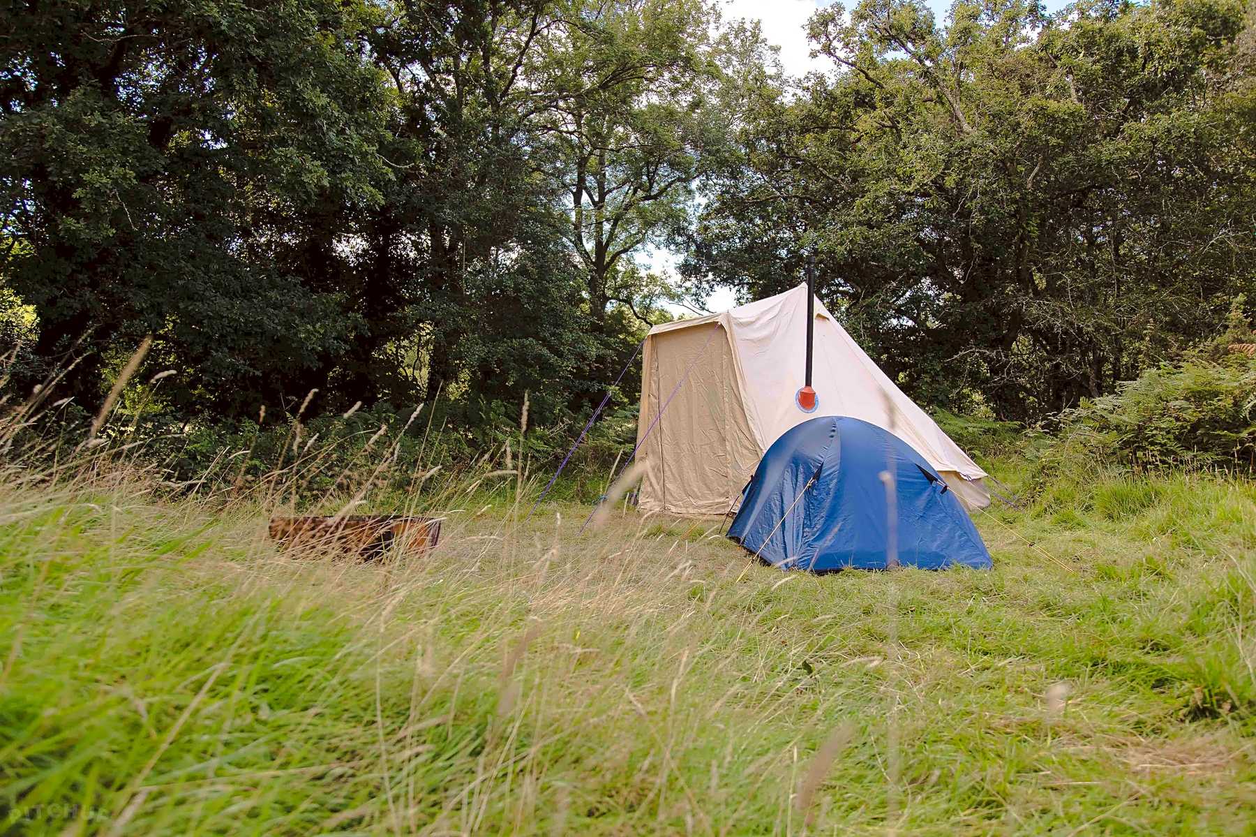 Bush Farm Wild Camping Saltash Updated 2021 Prices Pitchup