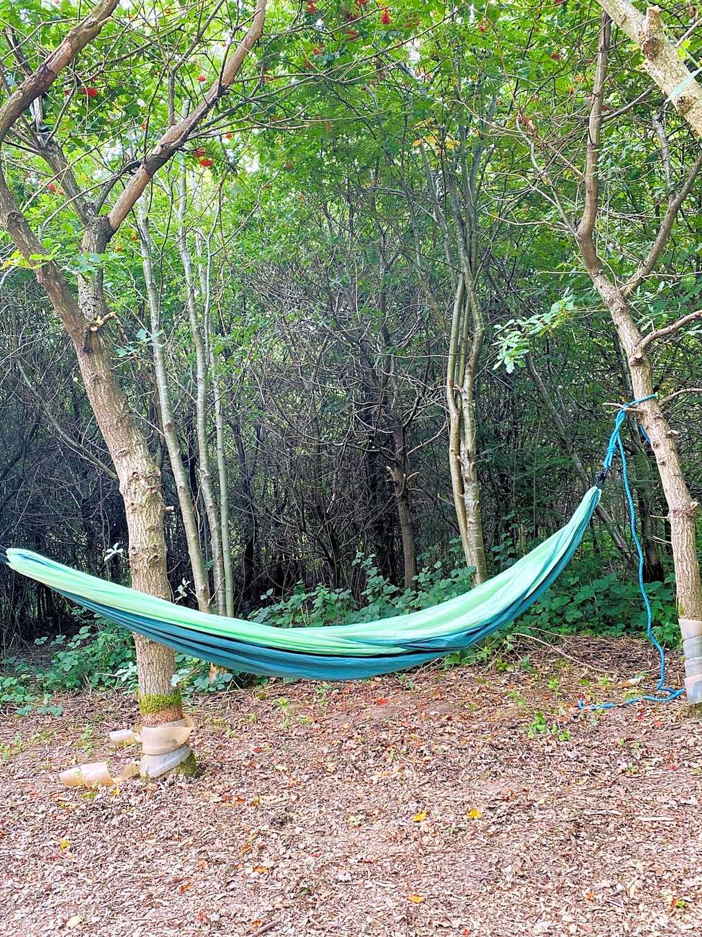 Fire And Stars Woodland Camping Newton Burgoland Updated 2020 Prices Pitchup