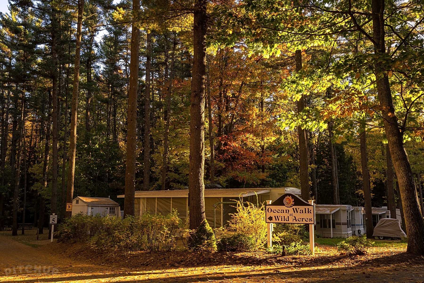 Wild Acres RV Resort and Campground Wild Acres RV Resort and Campground