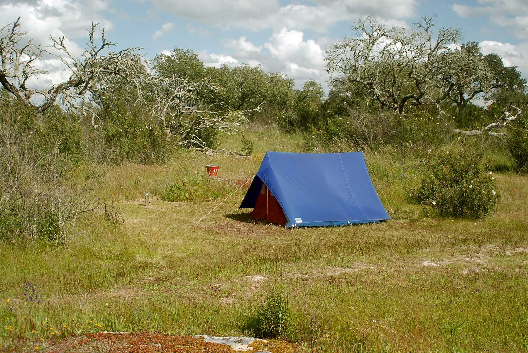 Bubulcus & Bolotas Camping, Vimieiro Geactualiseerde CAMPGROUND – Bubulcus & Bolotas Camping