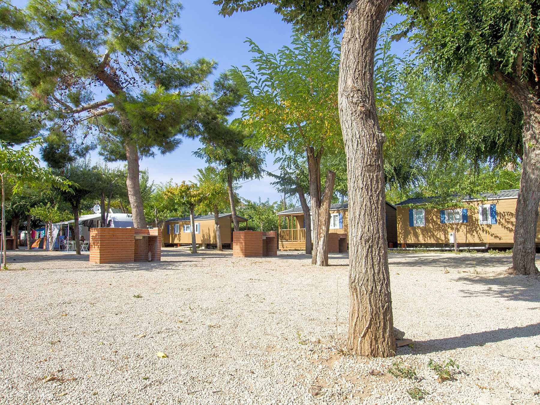 Camping L Alqueria Gandia Pitchup