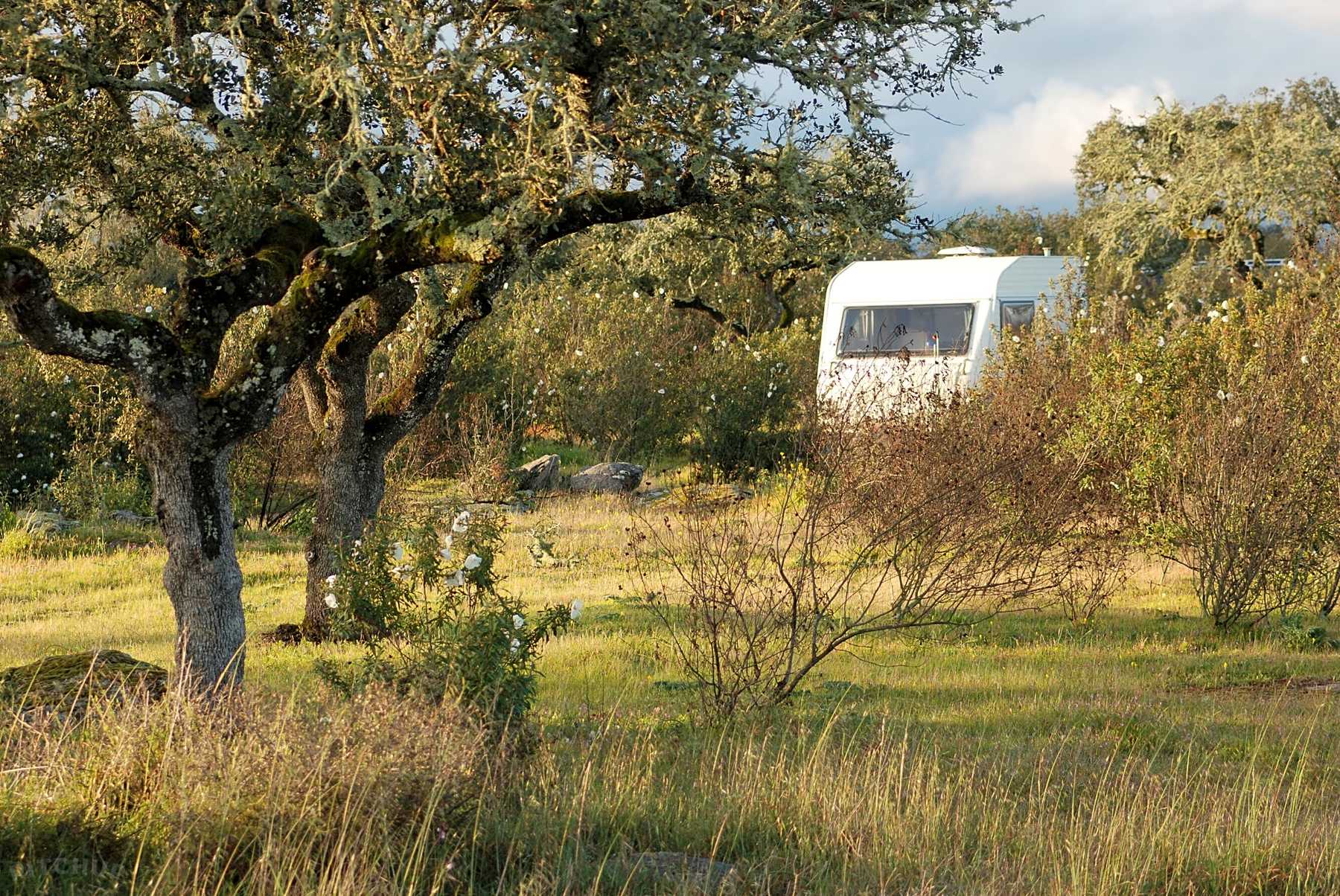 Bubulcus & Bolotas Camping, Vimieiro Geactualiseerde CAMPGROUND – Bubulcus & Bolotas Camping