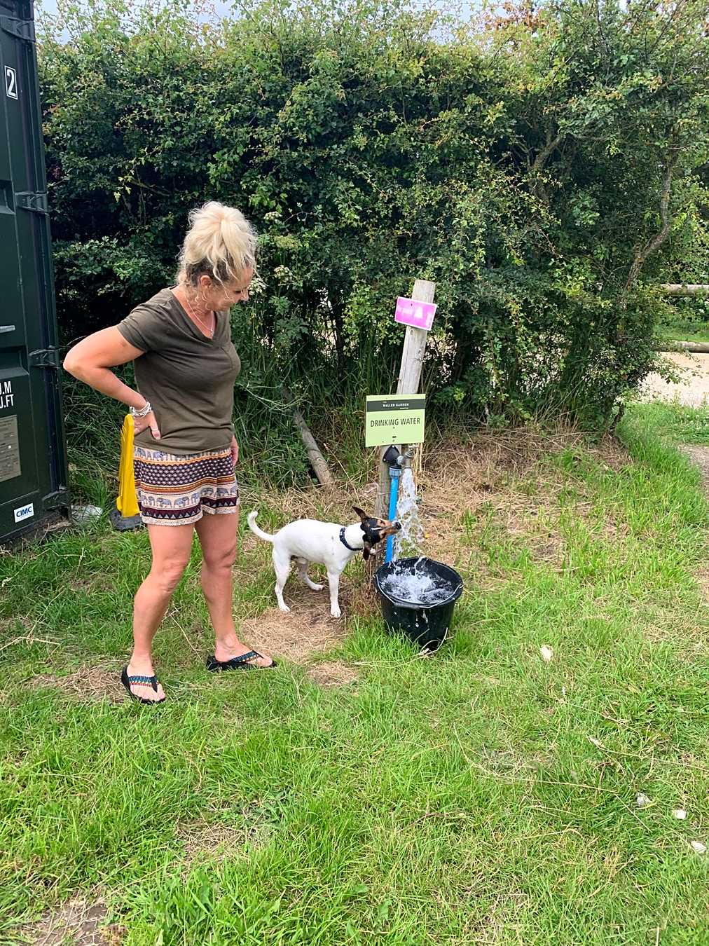 The Walled Garden Campsite Moreton Pitchup