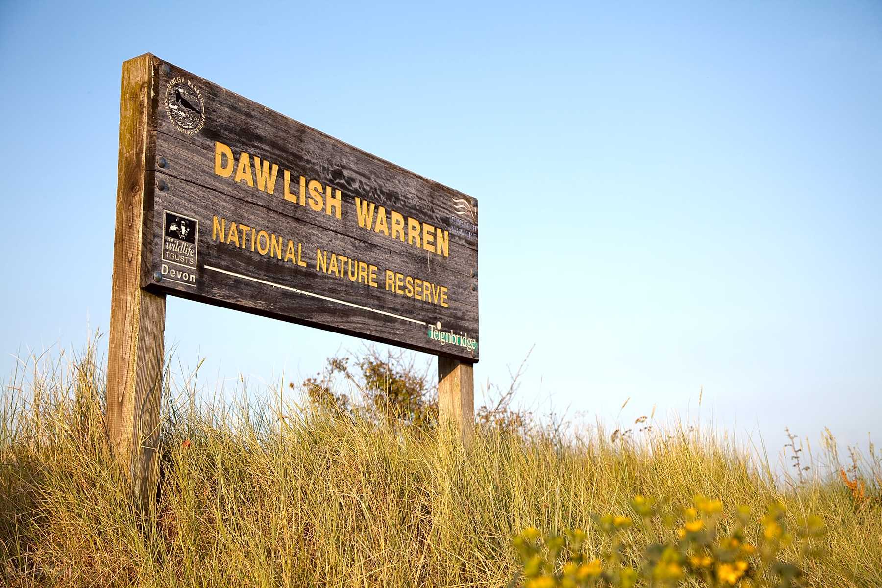 Leadstone Camping Dawlish Updated 2020 Prices Pitchup
