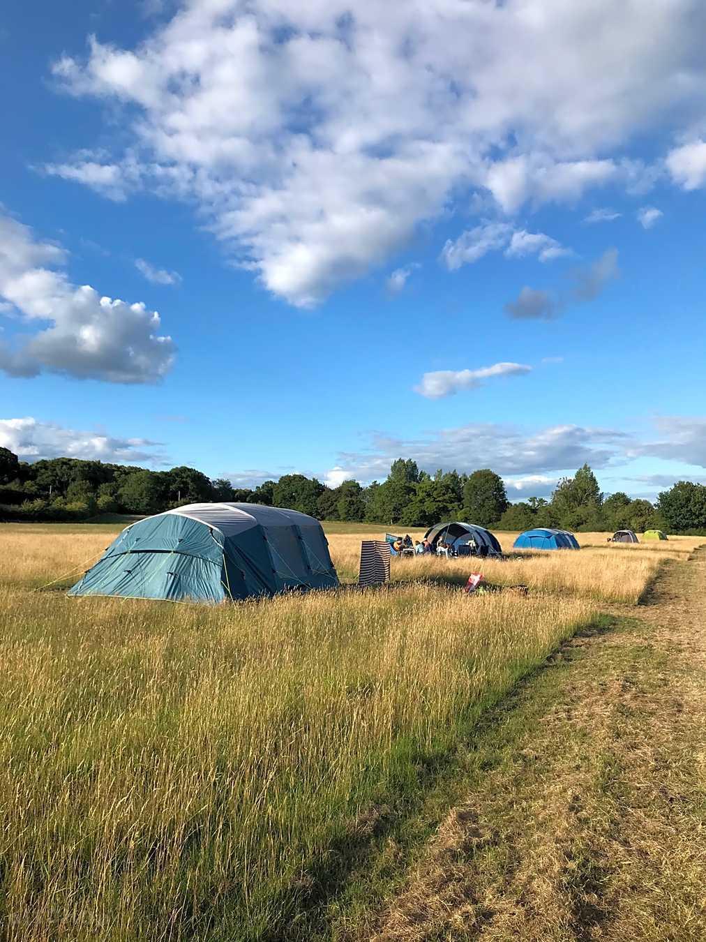 Clarefield Copse Wild Camping Petersfield Updated 2022 Prices Pitchup