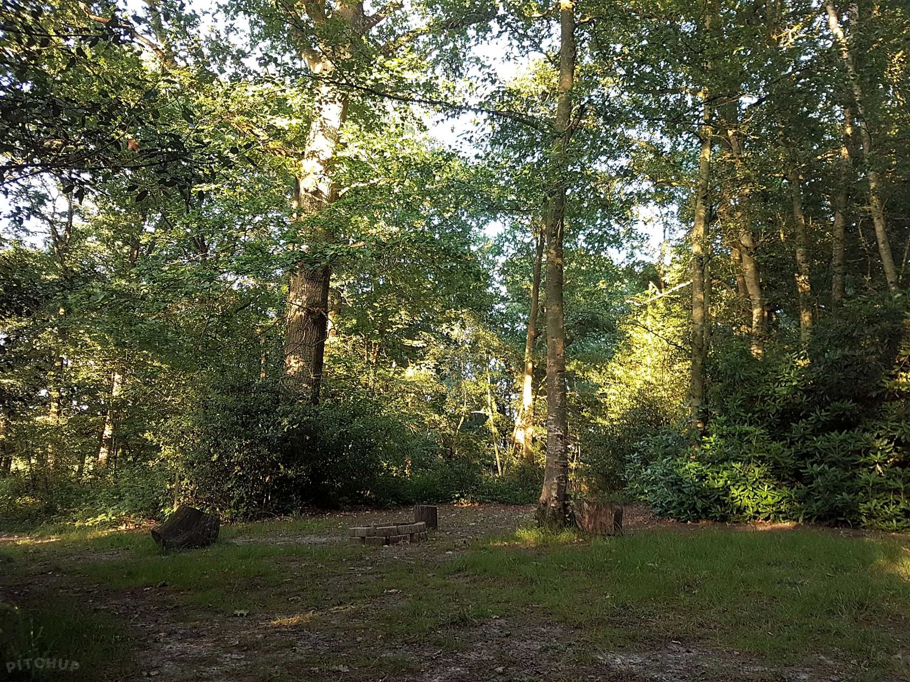 Evergreen Farm Woodland Campsite East Grinstead Updated 2020