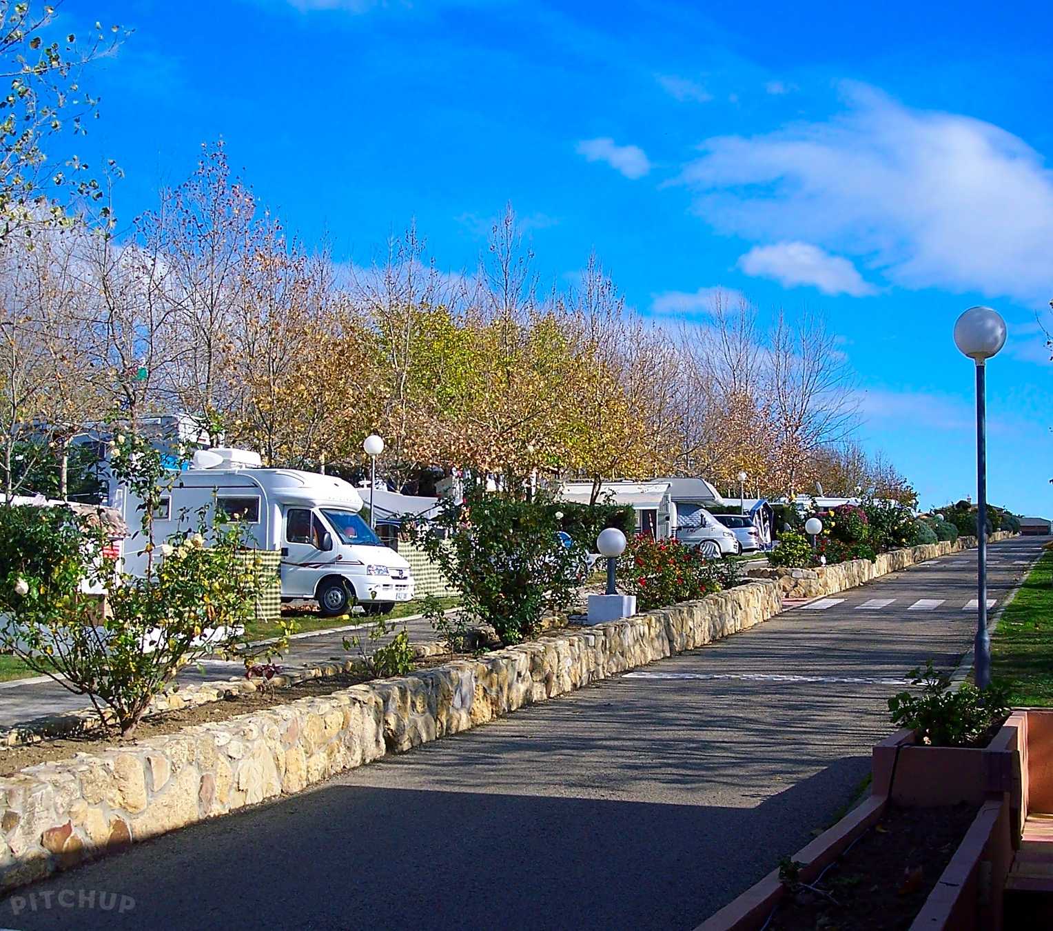 Camping La Rosaleda Conil De La Frontera Pitchup