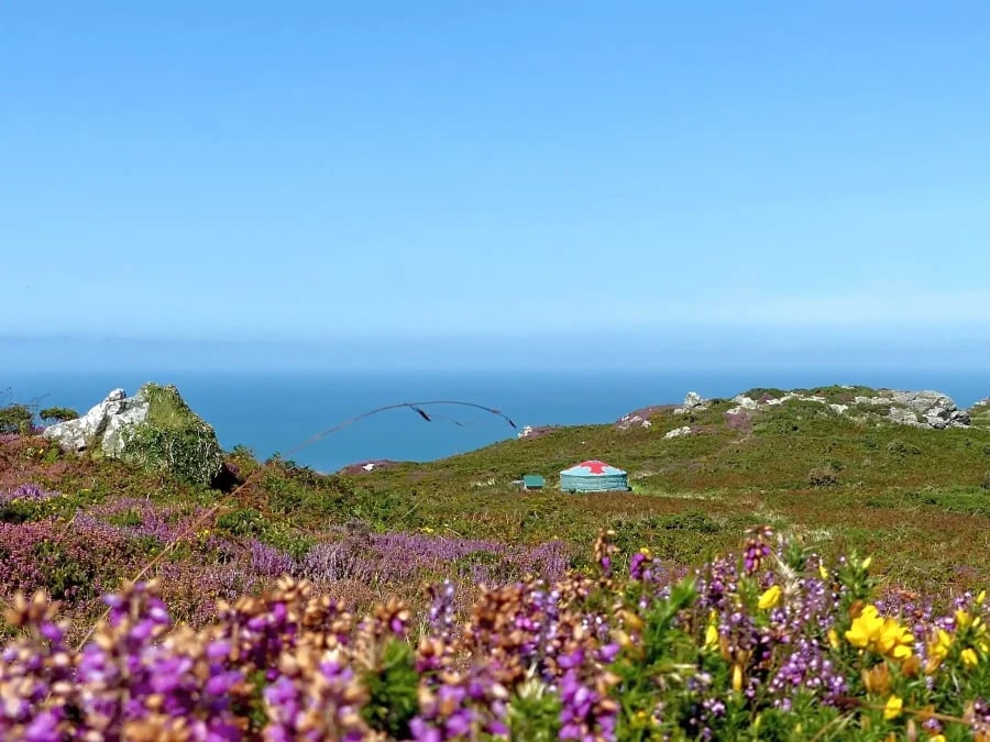 Glamping with a view by the Pembrokeshire coast (Pitchup.com)