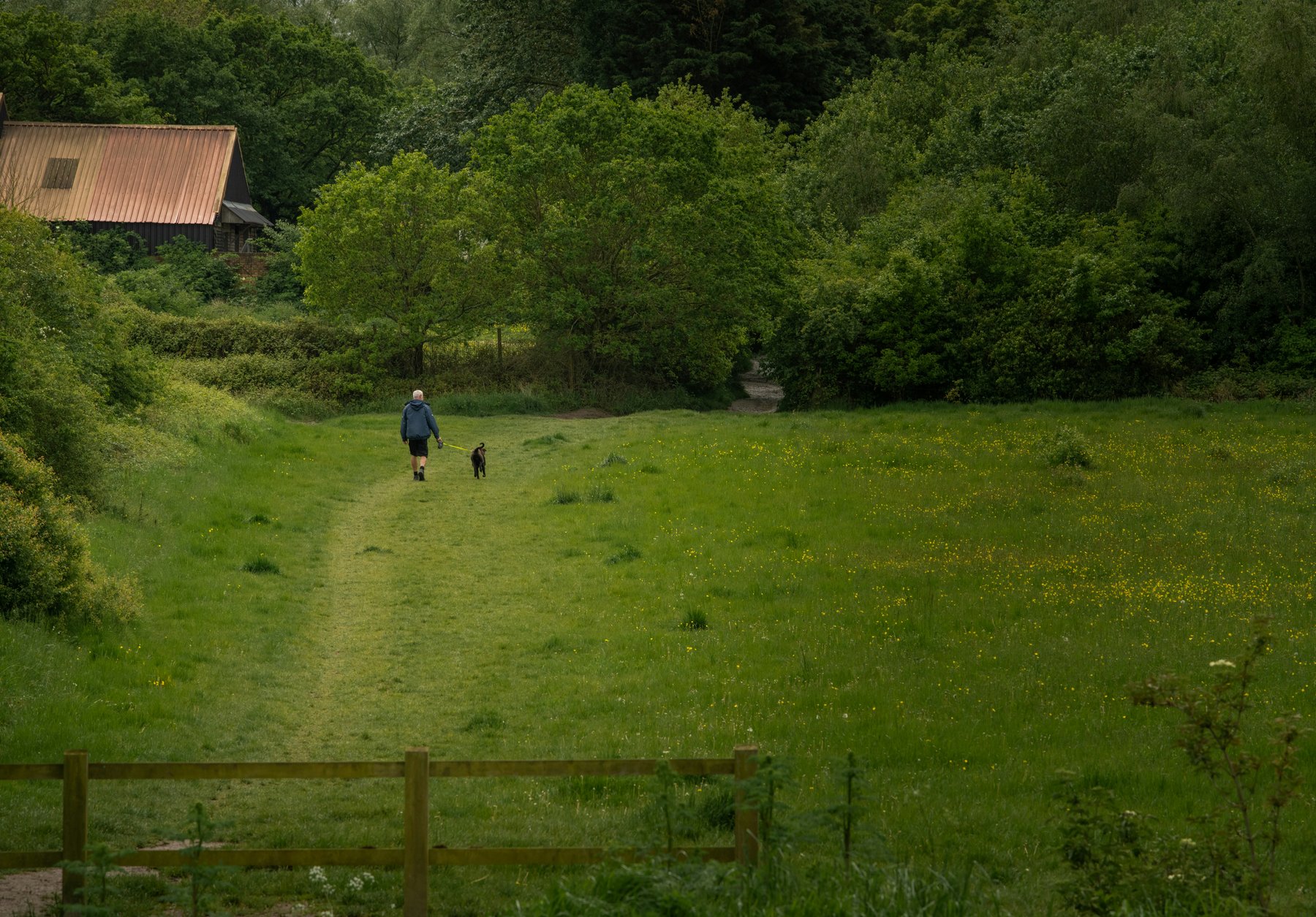 Walking through the green scenery of Essex (Matt Baron-Thompson/Unsplash)