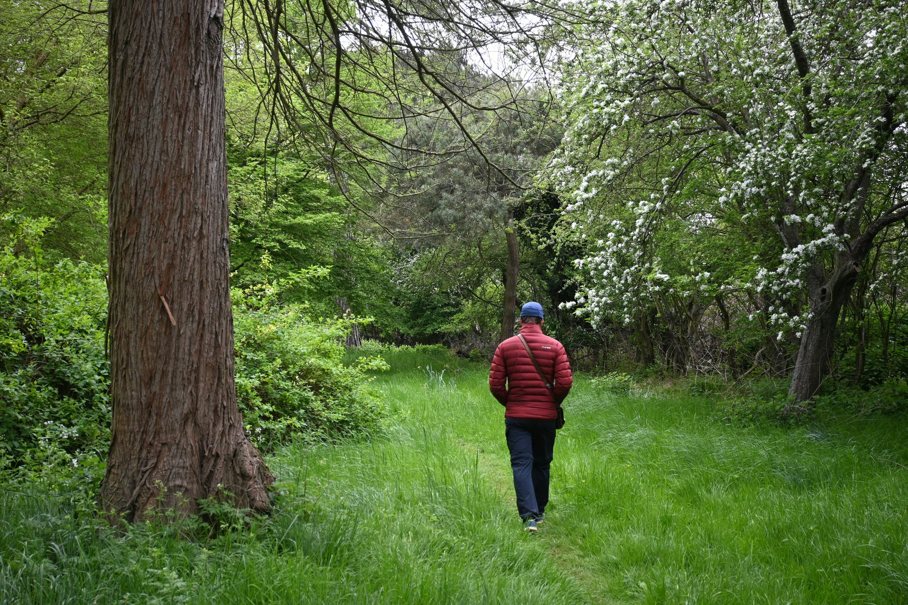 Exploring the outdoors on foot (Tanya Paquet/Unsplash)