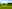 Lincolnshire