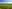 Crantock campsites