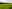 Longtown campsites