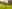Ashburton campsites