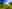 Bell tents