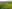 Frome campsites