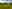 Argyll campsites